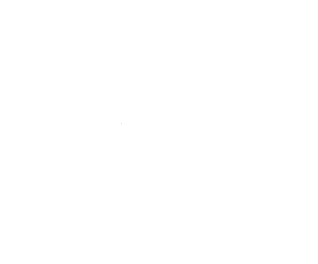 First Time Filmmakers sessions W