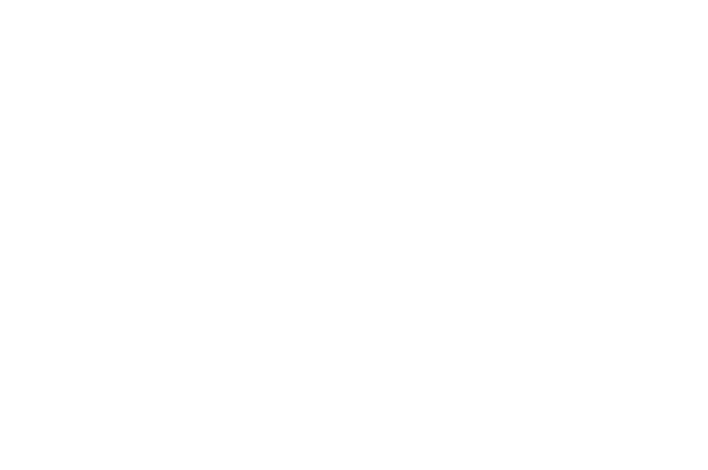 OFFICIAL SELECTION Concordia Film Festival 2021