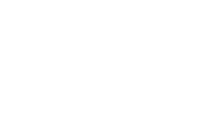OFFICIAL SELECTION Concordia Film Festival 2021