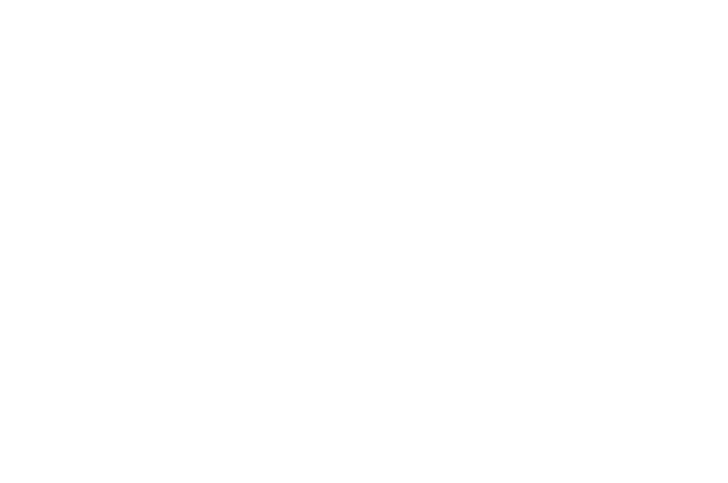OFFICIAL SELECTION Prairie Pride Film Festival 2021