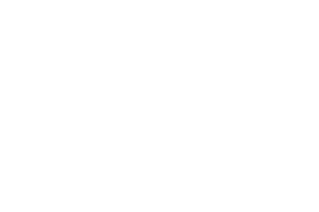OFFICIAL SELECTION OPEN VISION FILM FEST 2021 1